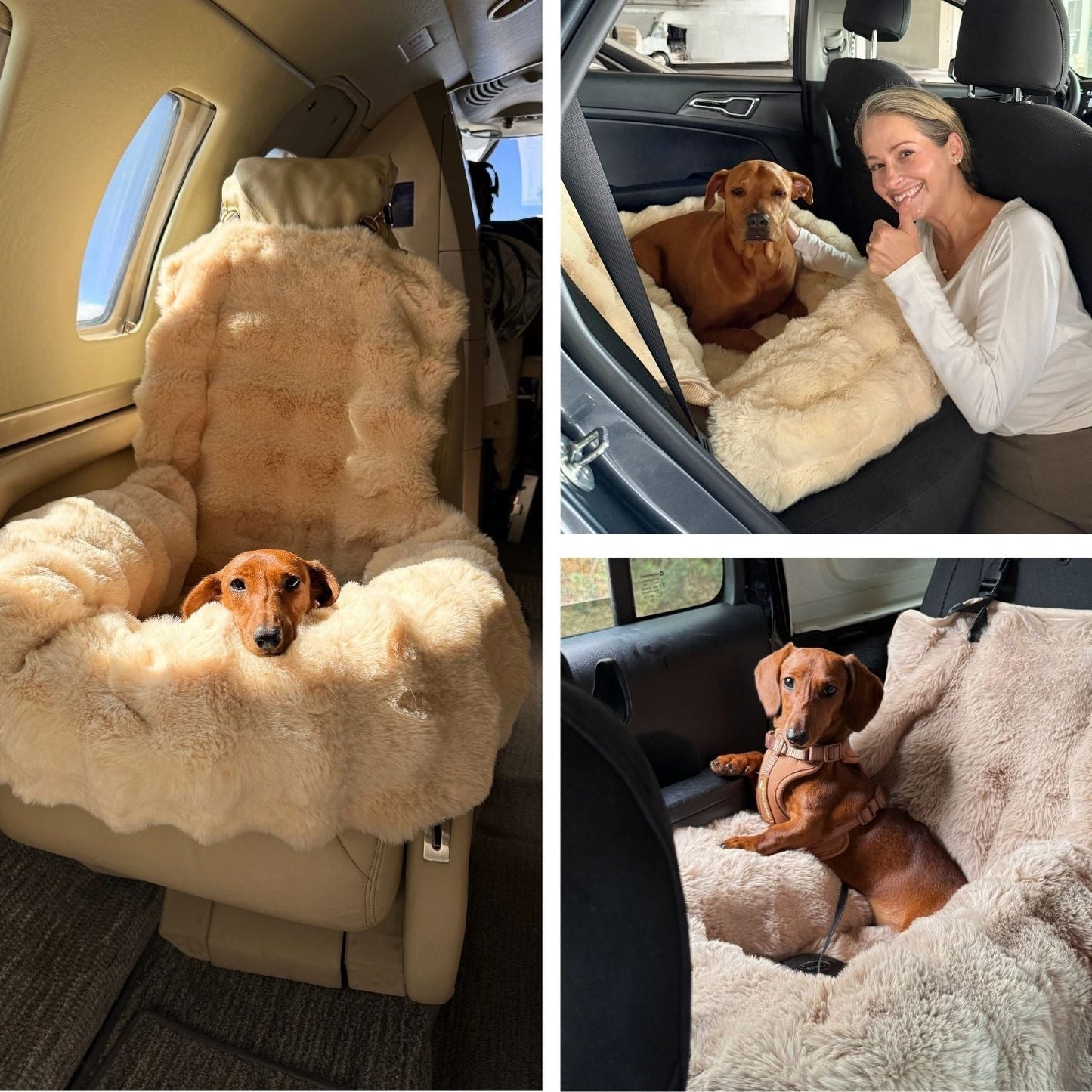 RoadPaws – Elegant Cosy Plush Dog Car Bed for a Comfortable and Secure Travels